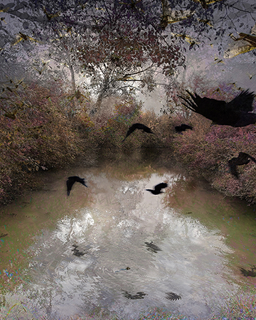 Skagit Delta: Slough by Carl Chew Skagit Delta: Slough by Carl Chew